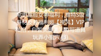 宅男露脸女神福利，推特S级身材反差福利姬【挽风】VIP私拍，白皙美腿美乳特写道具玩弄小蜜穴 (3)