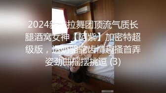 2024新维拉舞团顶流气质长腿酒窝女神【阿紫】加密特超级版，透奶骆驼齿情趣搔首弄姿劲曲摇摆挑逗 (3)