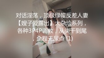 对话淫荡，顶级绿帽反差人妻【嫂子爱露出】大杂烩系列，各种3P4P调教，从头干到尾，全程无尿点 (1)