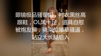 眼镜极品骚御姐，衬衣黑丝高跟鞋，OL风十足，道具自慰被炮友操，骑乘位爆草骚逼，站立大长腿后入