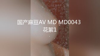 国产麻豆AV MD MD0043 花絮1