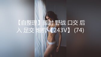 【自整理】颜射 野战 口交 后入 足交 炮机 【243V】 (74)