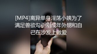 [MP4]离异单身淫荡小姨为了满足兽欲勾引刚成年外甥和自己在沙发上做爱