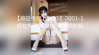 【麻豆传媒】MDSR-0001-1 妖女榨汁 篇章一 秦老师的秘密-夏晴子