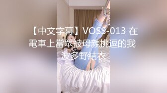 【中文字幕】VOSS-013 在電車上當眾被母親挑逗的我 波多野結衣