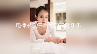 电梯紧急停止 绝顶高潮 乐乐