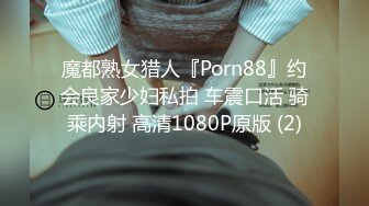 魔都熟女猎人『Porn88』约会良家少妇私拍 车震口活 骑乘内射 高清1080P原版 (2)