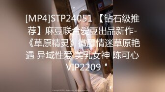 [MP4]STP24051 【钻石级推荐】麻豆联合爱豆出品新作-《草原精灵》微醺情迷草原艳遇 异域性爱 美乳女神 陈可心 VIP2209