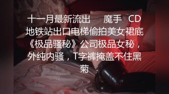 十一月最新流出❤️魔手☛CD地铁站出口电梯偷拍美女裙底《极品骚秘》公司极品女秘，外纯内骚，T字裤掩盖不住黑菊