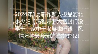 2024年1月新作新人极品河北小少妇【清雅婷】大雪封门没事干，家中干老婆也赚钱，风情万种最会玩的骚货！ (2)