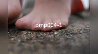 pmp004-1