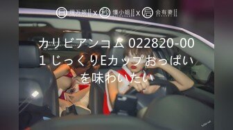 カリビアンコム 022820-001 じっくりEカップおっぱいを味わいたい