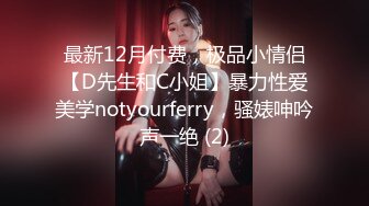 最新12月付费，极品小情侣【D先生和C小姐】暴力性爱美学notyourferry，骚婊呻吟声一绝 (2)