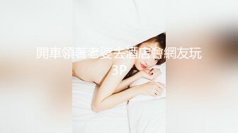 開車領著老婆去酒店會網友玩3P