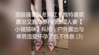 顶级骚妻反差网红！推特喜欢露出又喜欢多P的绿帽人妻【小骚猫咪】私拍，户外露出与单男造爱怀孕了也不休息 (3)