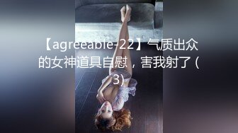 【agreeable-22】气质出众的女神道具自慰，害我射了 (3)