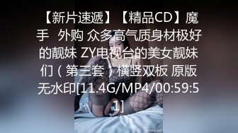 【新片速遞】【精品CD】魔手❤外购 众多高气质身材极好的靓妹 ZY电视台的美女靓妹们（第三套）横竖双板 原版无水印[11.4G/MP4/00:59:51]