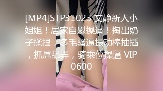 [MP4]STP31023 文静新人小姐姐！居家自慰操逼！掏出奶子揉捏，多毛骚逼振动棒抽插，抓屌舔弄，骑乘位操逼 VIP0600