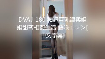 DVAJ-180 和超巨乳溫柔姐姐甜蜜相姦生活 藤咲エレン[中文字幕]